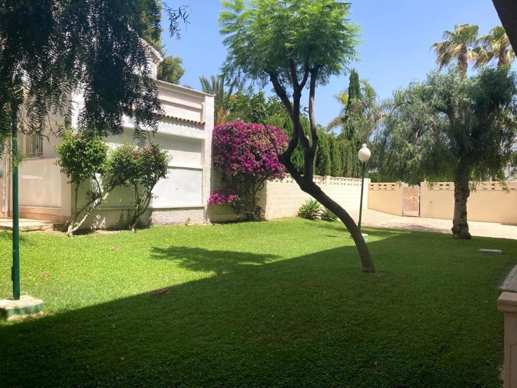 Apartamento Con Piscina Y Parking El Campello Ngoại thất bức ảnh